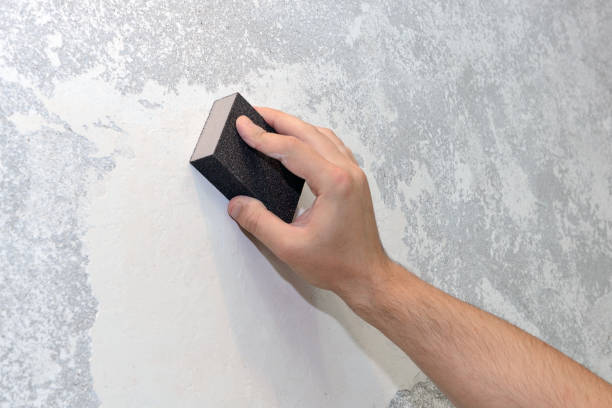 Best Environmental Consulting for Mold Prevention  in Riddle, OR