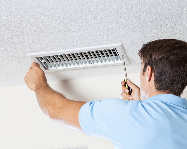Reliable Riddle, OR Mold Removal Solutions