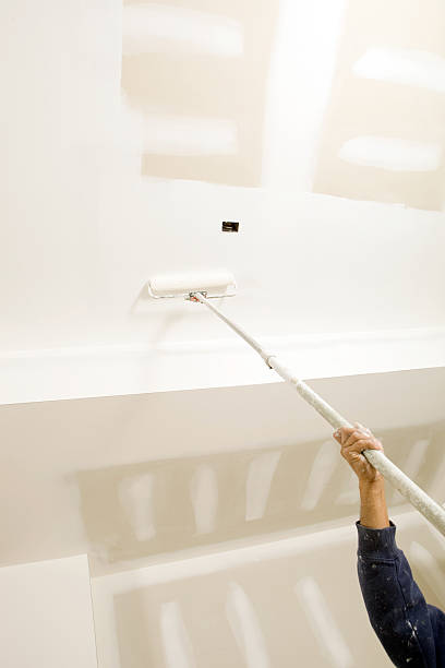 Best Mold Odor Removal Services  in Riddle, OR