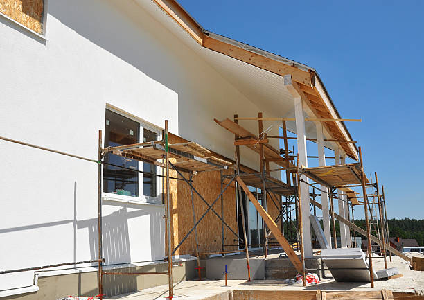 Best Real Estate Mold Inspection  in Riddle, OR