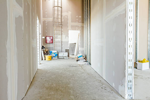 Best Mold Removal for HVAC Installations  in Riddle, OR